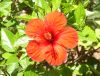 012_San Anton Gardens.jpg